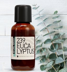 Eucalyptus Globulus essential oil (10ml and 30ml)