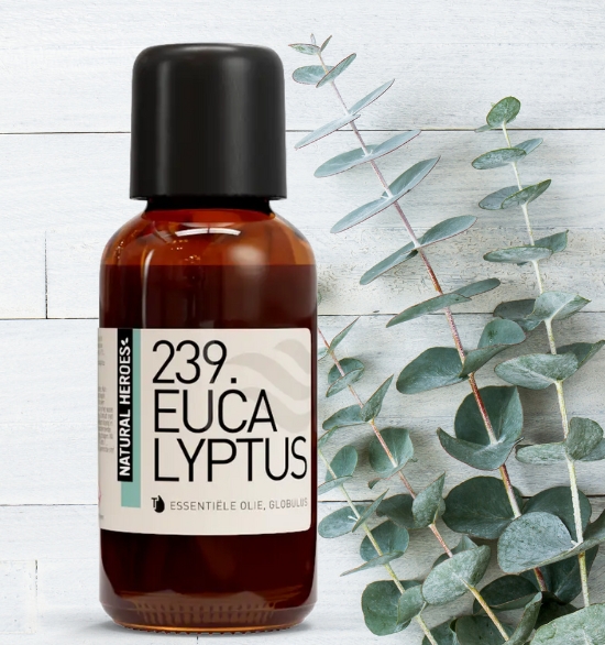 Eucalyptus Globulus etherische olie (30ml) – luchtzuiverend & verhelderend