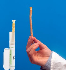Miswak natural tooth brush