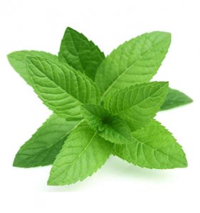Peppermint essential oil (30ml)