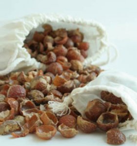 Soapnuts (500 or 1000 grs)